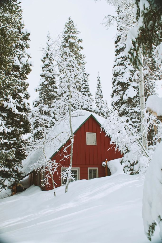 The property in winter, under snow